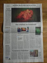 Artikel in der Kieler Nachrichten, Juli 2019